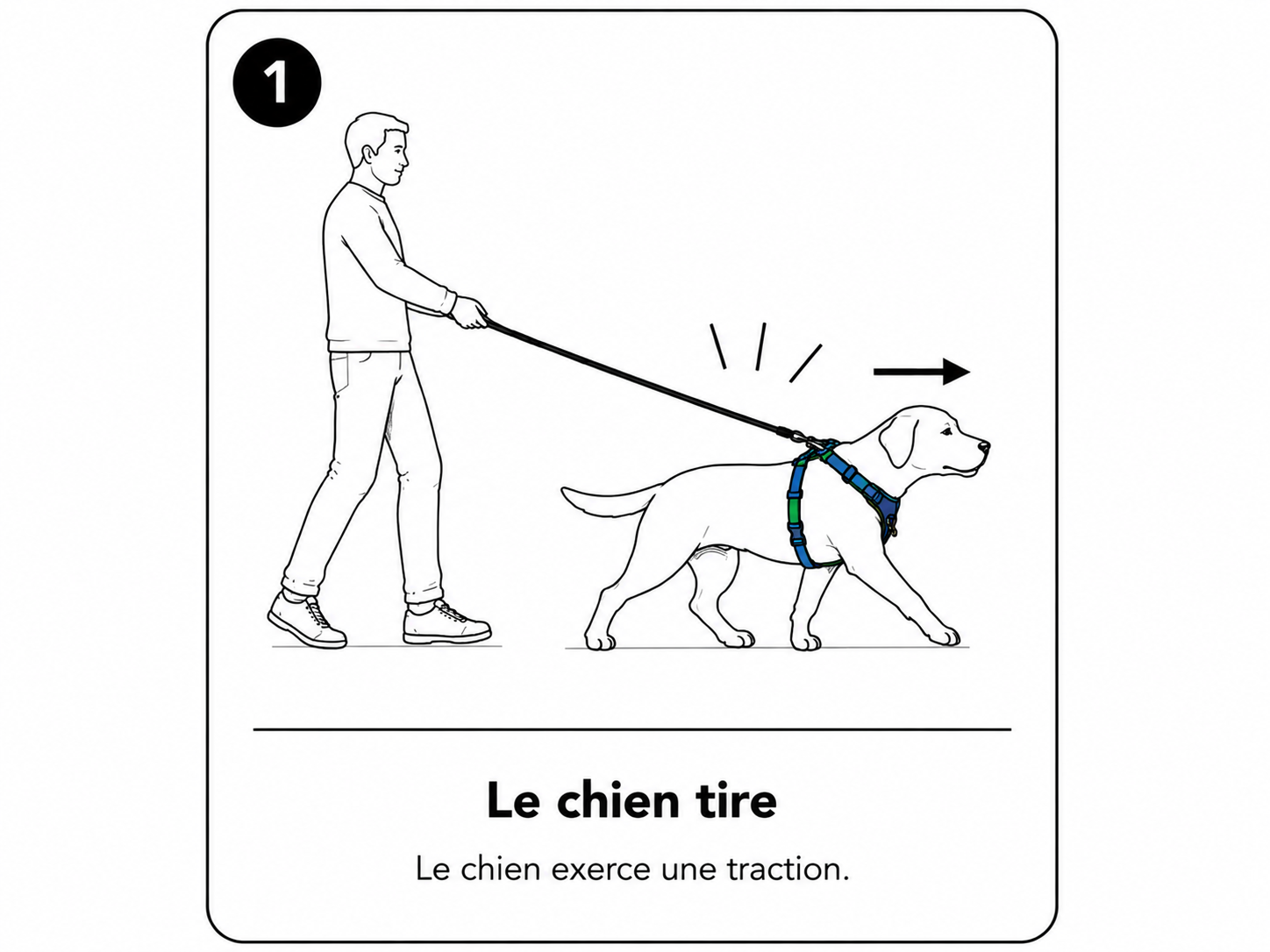 Étape 1