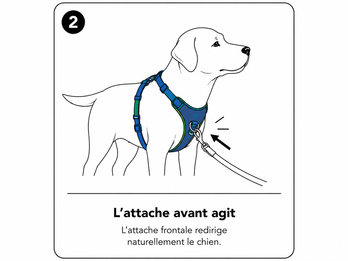 Étape 2