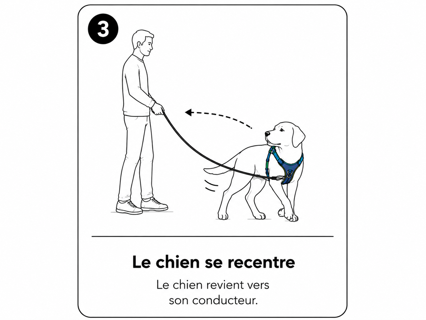 Étape 3