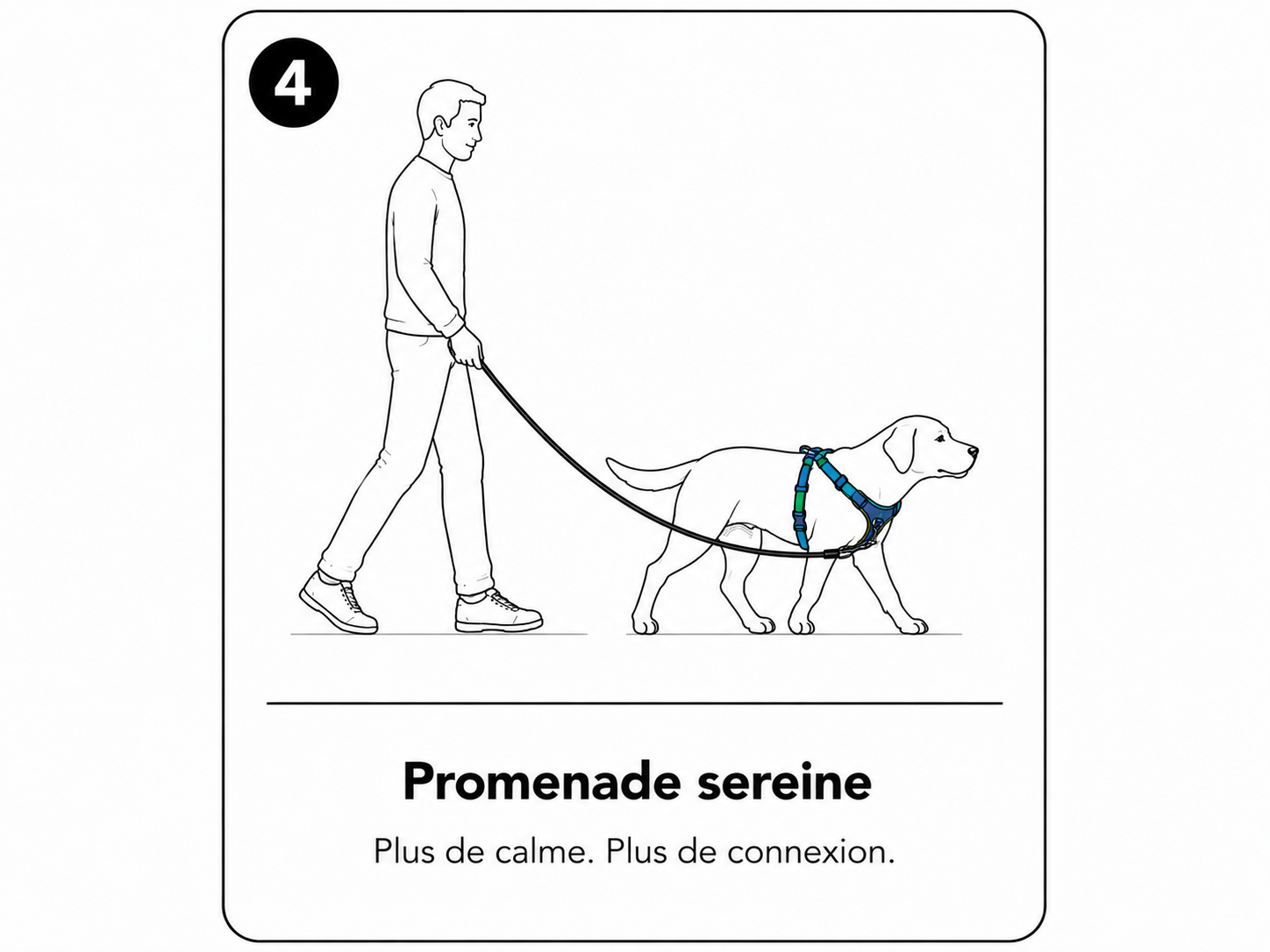 Étape 4