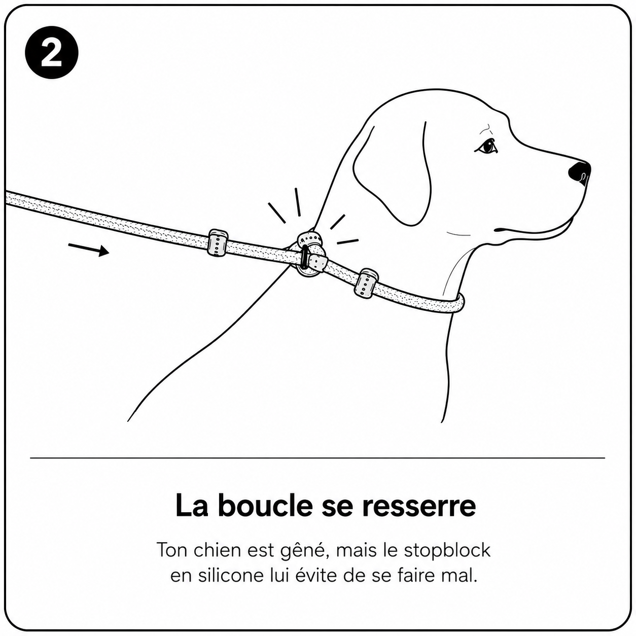 La boucle se resserre