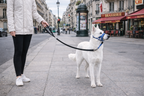 Easy Walk