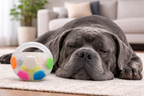 Titan Ball