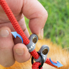 Laisse Lasso