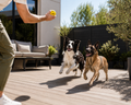 Balle NOVA
