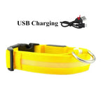 LED Dog Collar USB Rechargeable - Bright & High Visibility Lighted Glow Collar for Small Medium Large Breeds Pet Night Walking
