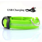 LED Dog Collar USB Rechargeable - Bright & High Visibility Lighted Glow Collar for Small Medium Large Breeds Pet Night Walking