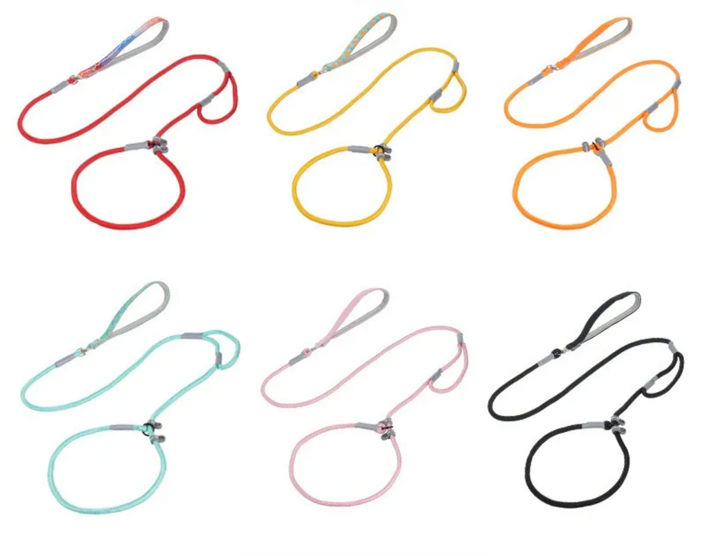 Laisse Lasso