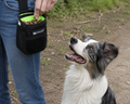 Pochette GOOD BOY