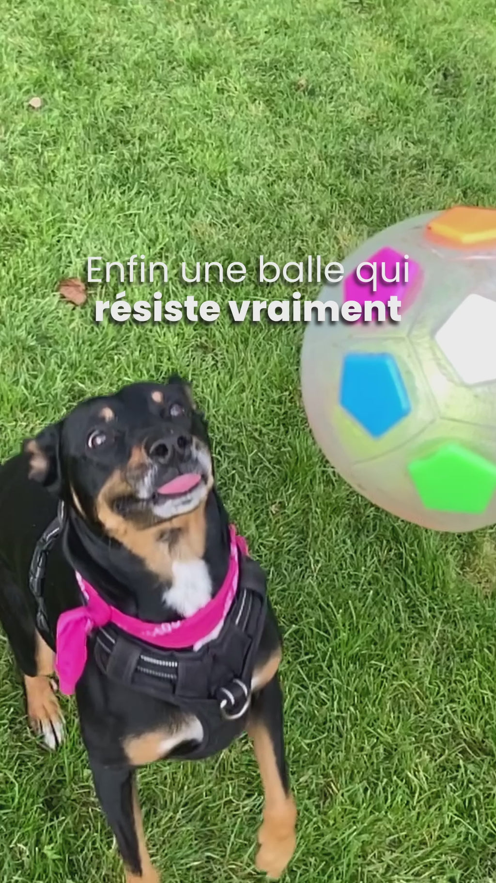 Balle TITAN