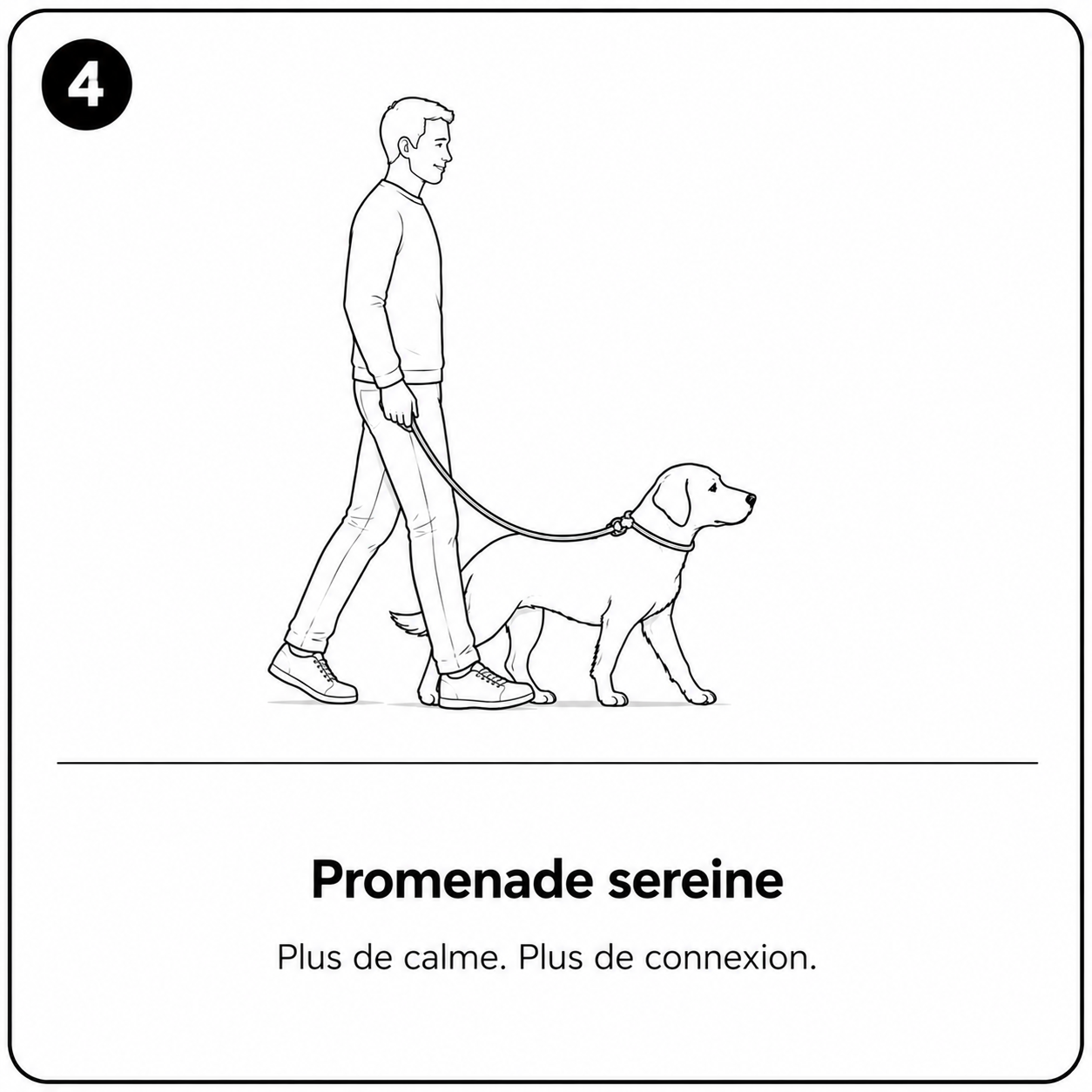 Promenade sereine